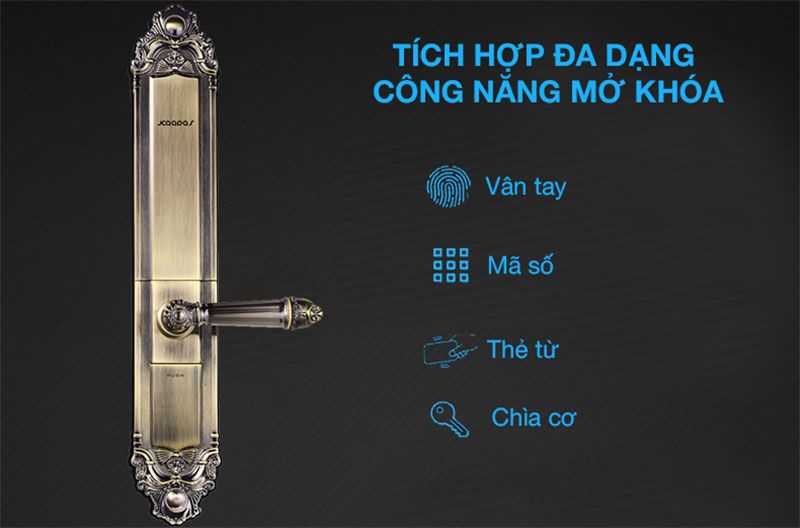 Khóa Cửa Vân Tay Tân Cổ Điển Kaadas 6001