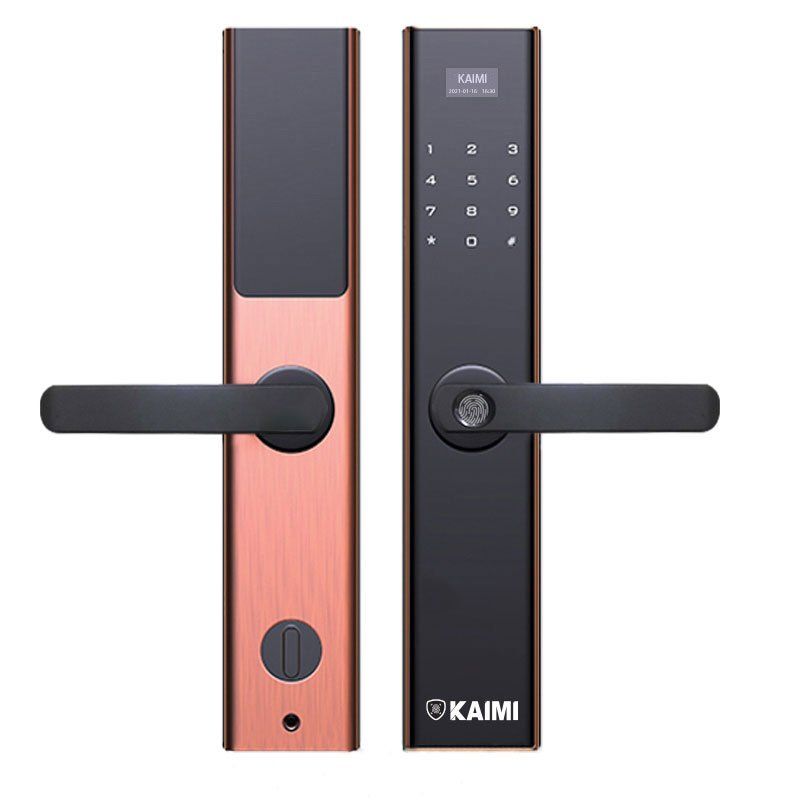 Khóa Cửa Vân Tay Kaimi BTM103 - Viền Đồng