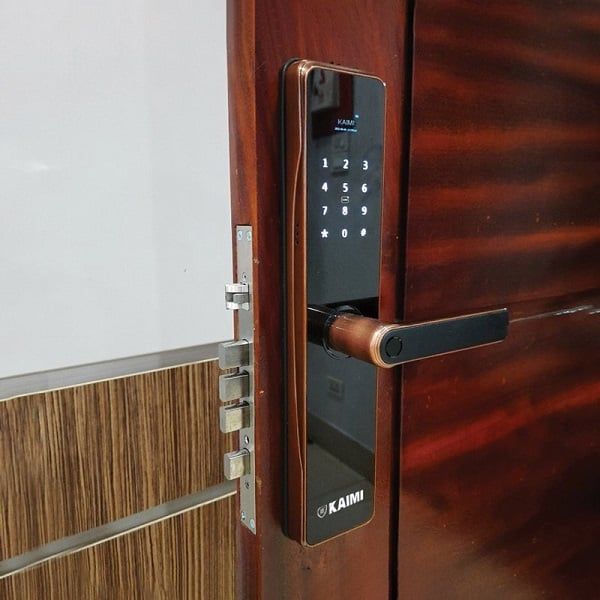 Khóa Cửa Vân Tay Kaimi BTM101 - Viền Đồng