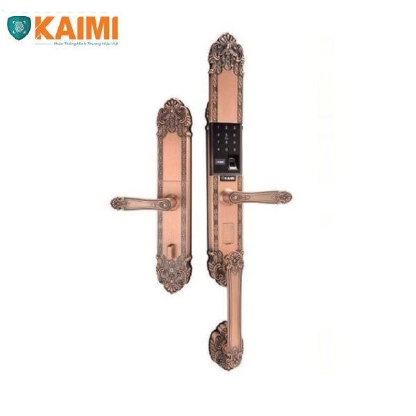 Khóa Cửa Đại Sảnh Kaimi DS101