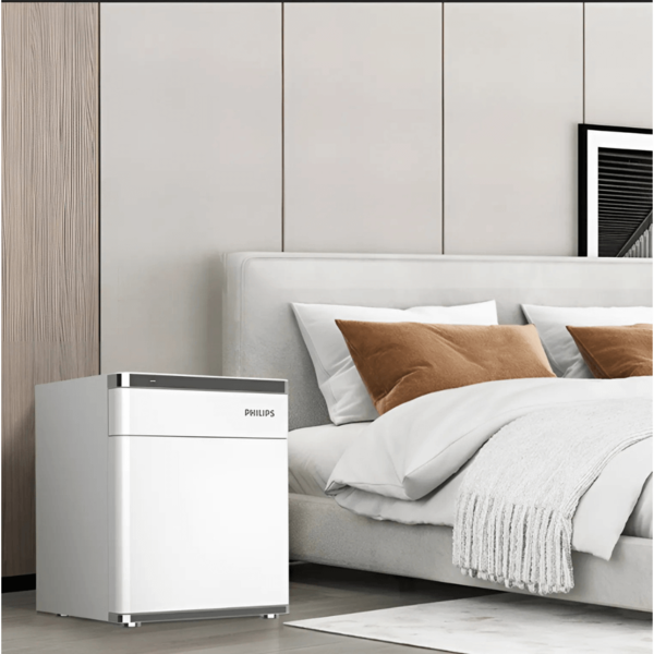 Két sắt Philips SBX301 36kg