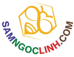  CÔNG TY CỔ PHẦN SÂM NGỌC LINH (SAMNGOCLINH.COM) 
