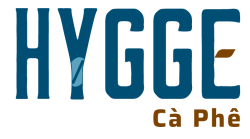  CÔNG TY CỔ PHẦN HYGGE VIỆT 