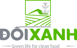  CÔNG TY CỔ PHẦN THỰC PHẨM ĐỒI XANH 