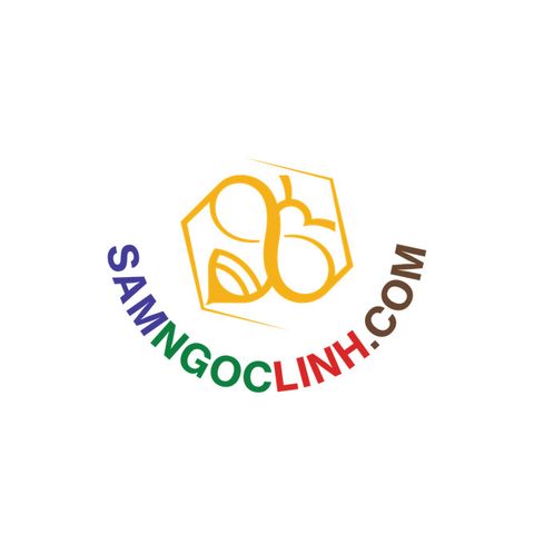  Công ty Cổ phần Sâm Ngọc Linh Việt Nam 