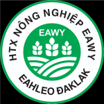  HỢP TÁC XÃ SẢN XUẤT NÔNG NGHIỆP EAWY 