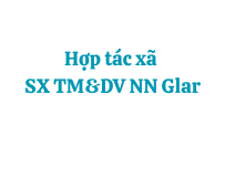  HỢP TÁC XÃ SẢN XUẤT THƯƠNG MẠI VÀ DỊCH VỤ NÔNG NGHIỆP GLAR 