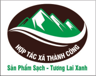  HỢP TÁC XÃ THÀNH CÔNG 