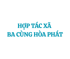  HỢP TÁC XÃ BA CÙNG HÒA PHÁT 
