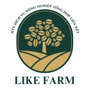  HỢP TÁC XÃ DỊCH VỤ NÔNG NGHIỆP TỔNG HỢP LIÊN KẾT (LIKEFARM) 