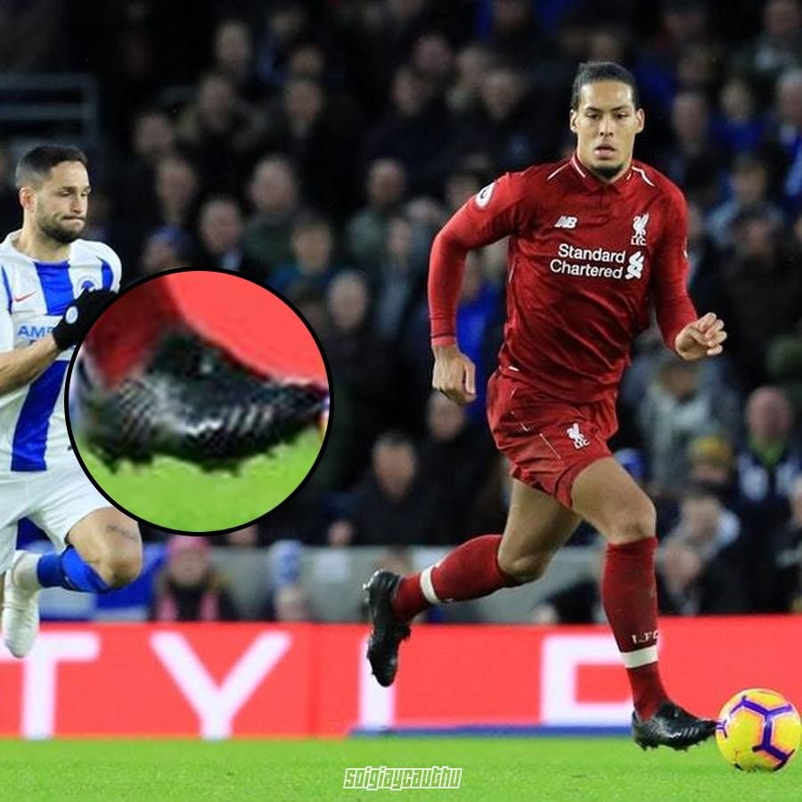 Sản phẩm là kho chứa ảnh từ web cũ KHÔNG ĐƯỢC XÓA 2