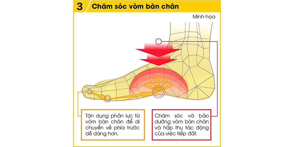 Sản phẩm là kho chứa ảnh từ web cũ KHÔNG ĐƯỢC XÓA 2