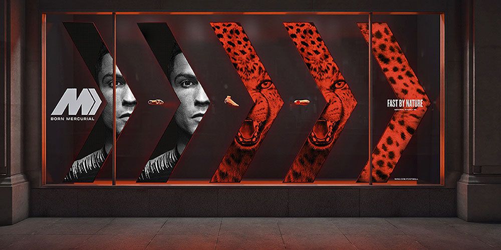 Sản phẩm là kho chứa ảnh từ web cũ KHÔNG ĐƯỢC XÓA 2