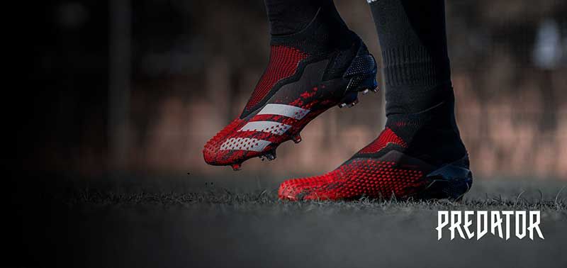 Sản phẩm là kho chứa ảnh từ web cũ KHÔNG ĐƯỢC XÓA 2