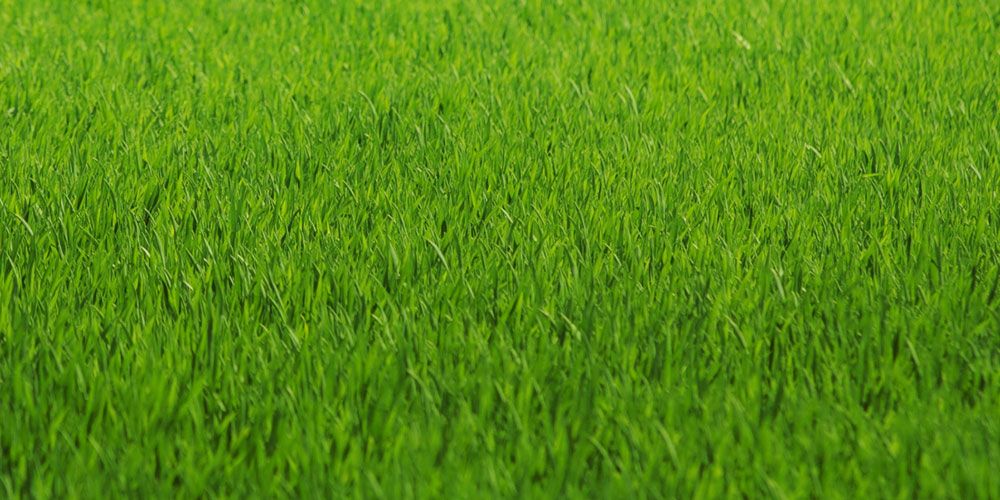 Sản phẩm là kho chứa ảnh từ web cũ KHÔNG ĐƯỢC XÓA 1