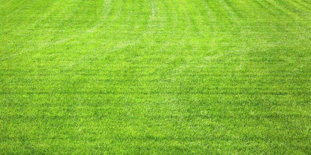 Sản phẩm là kho chứa ảnh từ web cũ KHÔNG ĐƯỢC XÓA 2