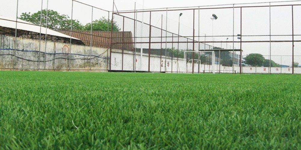 Sản phẩm là kho chứa ảnh từ web cũ KHÔNG ĐƯỢC XÓA 1