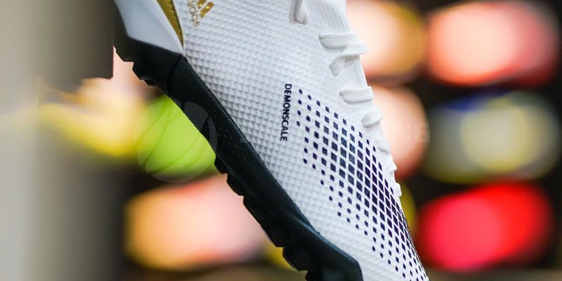 Sản phẩm là kho chứa ảnh từ web cũ KHÔNG ĐƯỢC XÓA 1