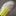 JOMA TOP FLEX LEATHER REBOUND IN 2102 - TRẮNG/XANH NEON