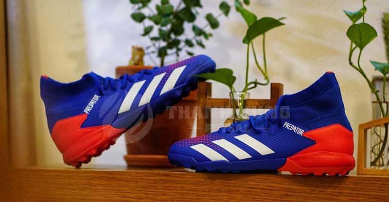 Sản phẩm là kho chứa ảnh từ web cũ KHÔNG ĐƯỢC XÓA 2