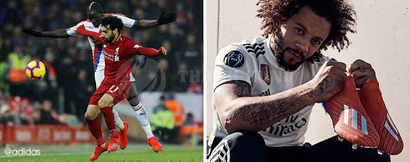 Sản phẩm là kho chứa ảnh từ web cũ KHÔNG ĐƯỢC XÓA 2