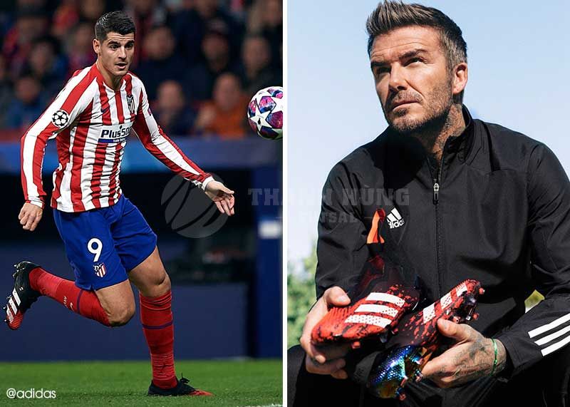 Sản phẩm là kho chứa ảnh từ web cũ KHÔNG ĐƯỢC XÓA 1