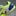 JOMA TOP FLEX TF 2416 - TRẮNG/VÀNG NEON