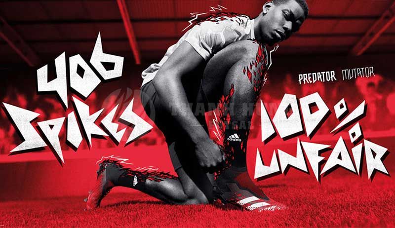 Sản phẩm là kho chứa ảnh từ web cũ KHÔNG ĐƯỢC XÓA 1