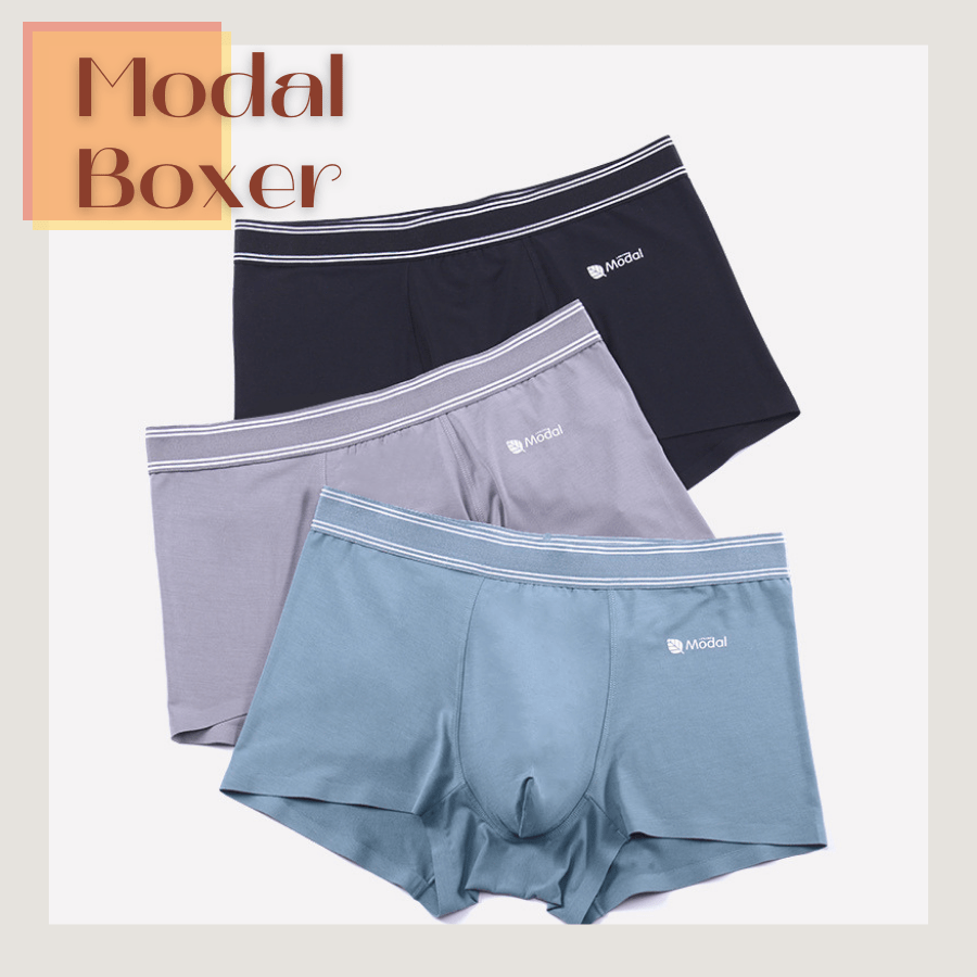  MODAL_BOXER 