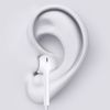 Devia Smart Series USB Type-C Earpods