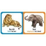 Từ Điển Bằng Hình Đầu Tiên Của Bé - Baby'S First Picture Dictionary - Wild animals - Động Vật Hoang Dã