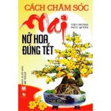 Cách Chăm Sóc Mai Nở Hoa Đúng Tết