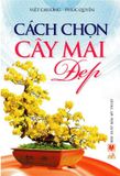 Cách Chọn Cây Mai Đẹp