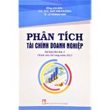 Phân Tích Tài Chính Doanh Nghiệp - Chỉnh Sửa Bổ Sung 2021