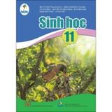 Sinh Học 11 - Cánh Diều