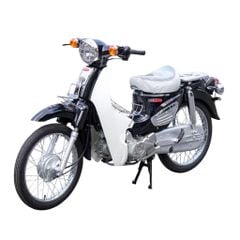 Cub 81