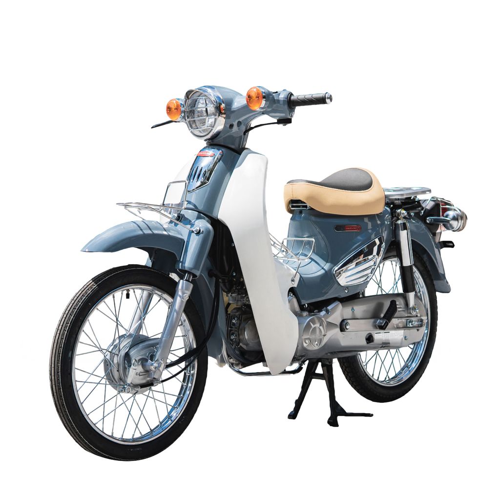 Cub 81