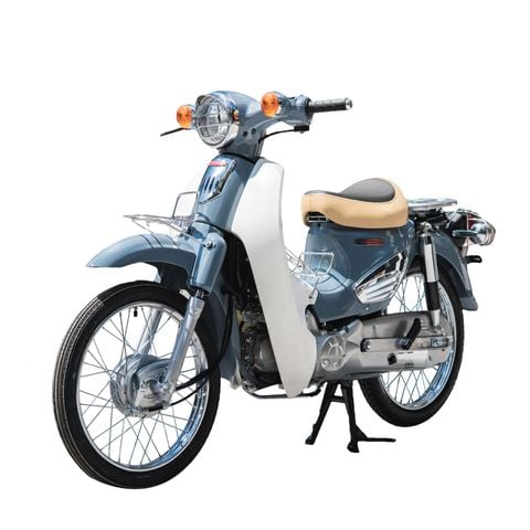 Cub 81