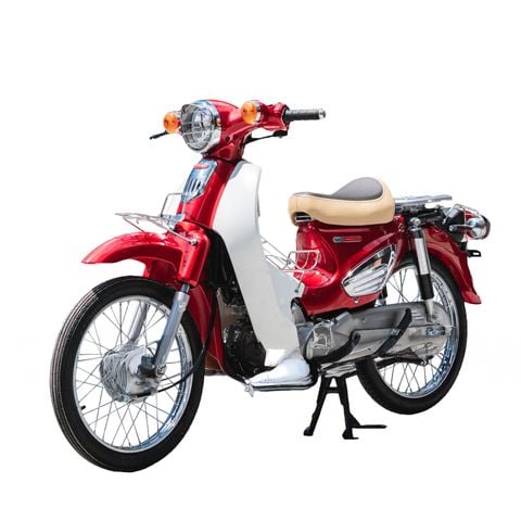Cub 81