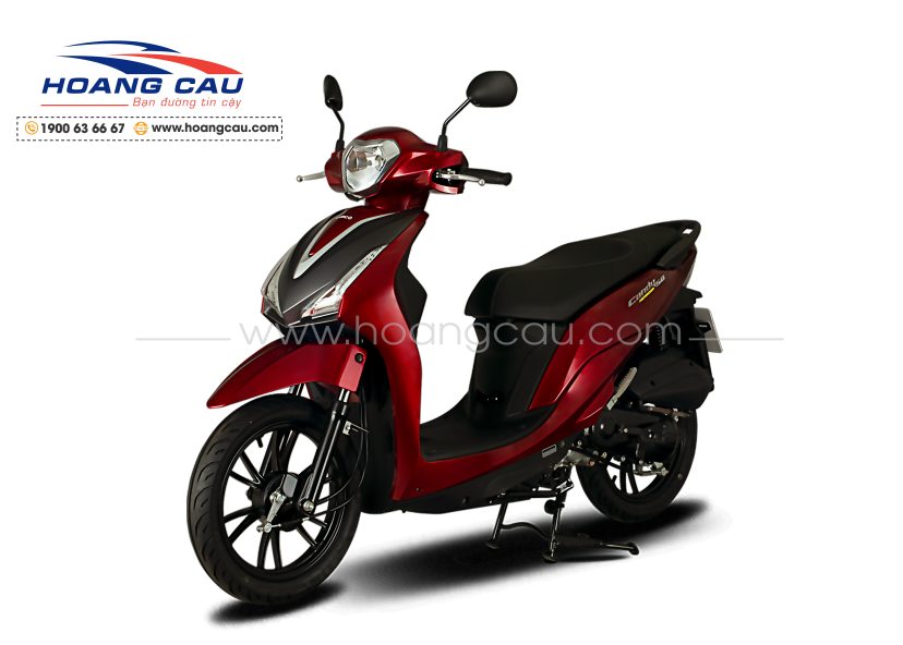 CANDY HERMOSA 50cc