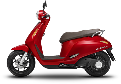 VINFAST EVO 200 LITE
