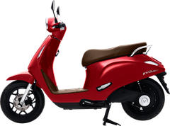 VINFAST EVO LITE NEO