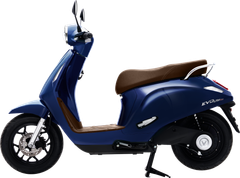 VINFAST EVO LITE NEO