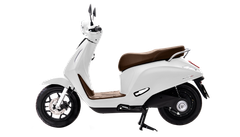 VINFAST EVO NEO
