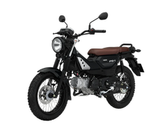 YAMAHA PG-1