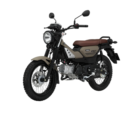 YAMAHA PG-1