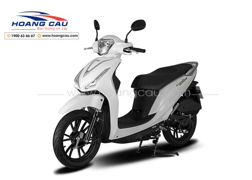 CANDY HERMOSA 50cc