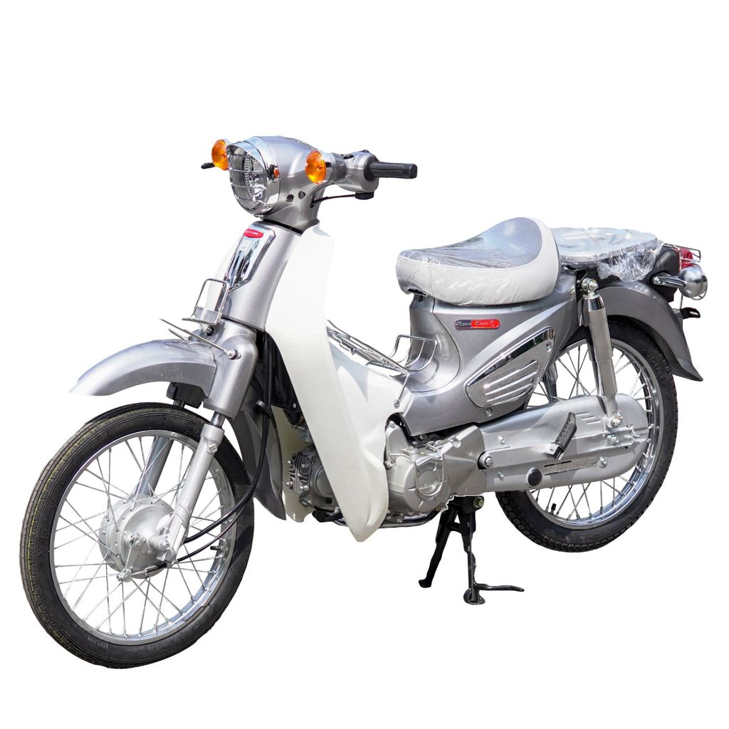 Cub 81