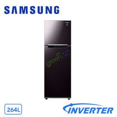 Tủ Lạnh Samsung Inverter  256 Lít RT25M4032BY/SV (2 cửa)