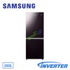Tủ lạnh Samsung Inverter 280 Lít RB27N4010BY/SV (2 Cửa)